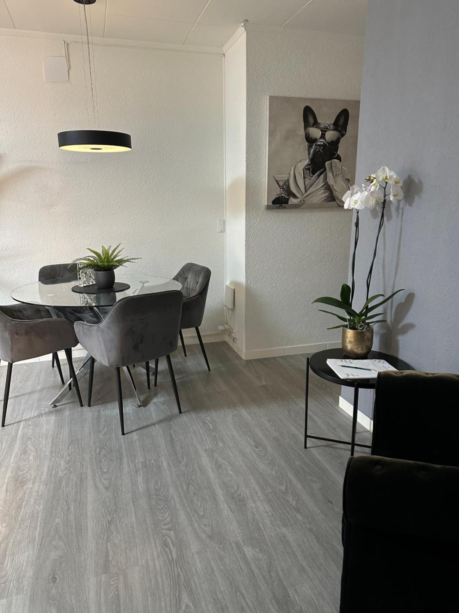 Lindo Apartamento En El Centro De 洛桑 外观 照片