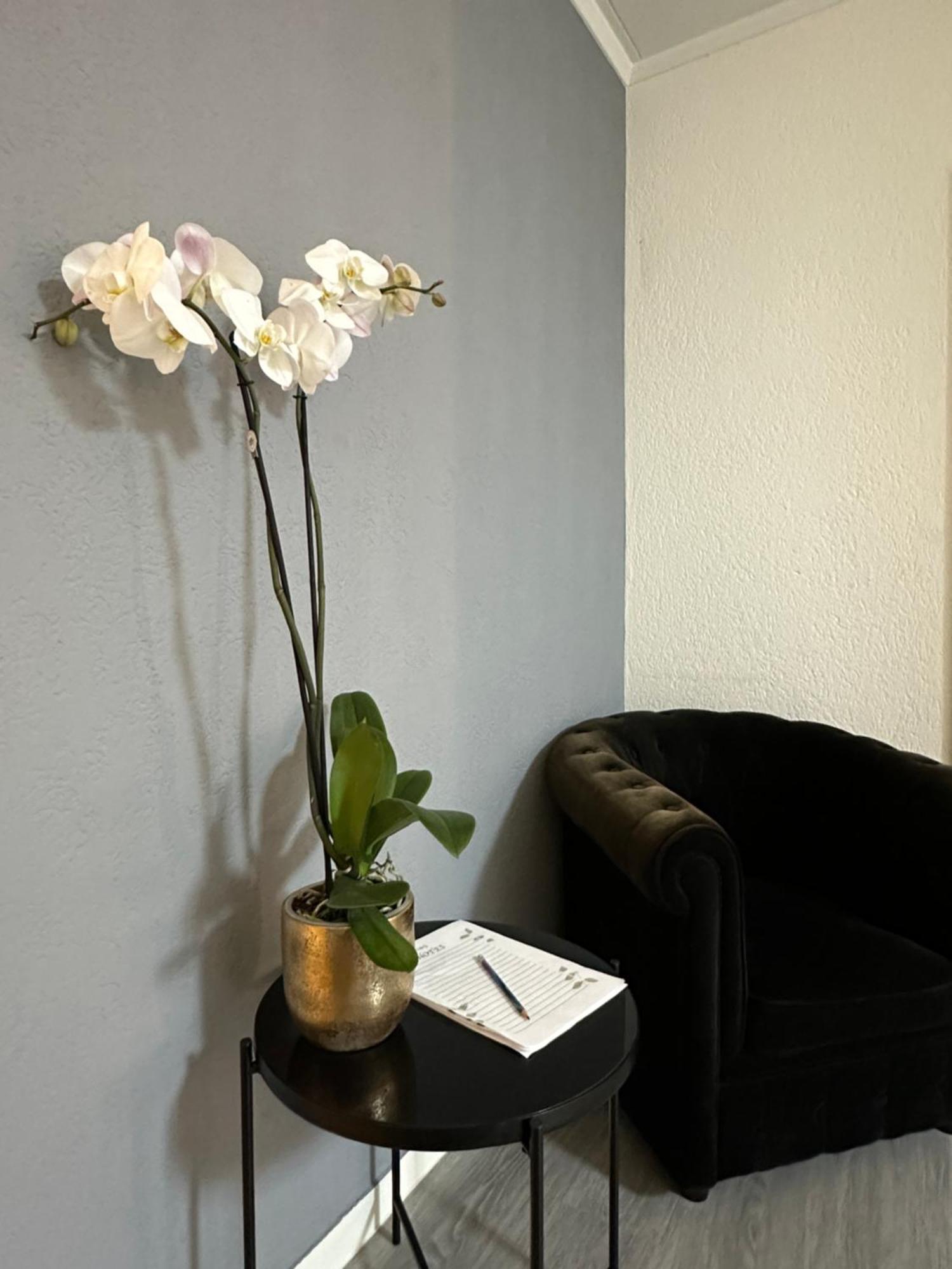 Lindo Apartamento En El Centro De 洛桑 外观 照片